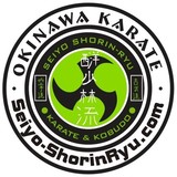 Seiyo No Shorin-Ryu Karate Kobudo Kai - Martial Arts in Mesa