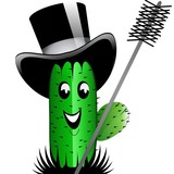 A Arizona Chimney Sweep Co - Fireplaces & Stoves in Peoria