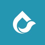 Liquis Design - Graphic Design in Glendale