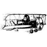 Flying Buffalo Inc - Software Development in Scottsdale
