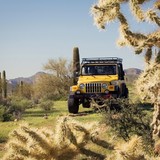 Apache Trail Tours - Other in Apache Junction