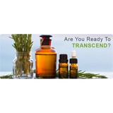 Transcendent Chiropractic - Chiropractors in Tucson