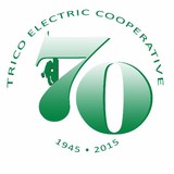 Trico Electric CO-OP Inc - Other in Marana