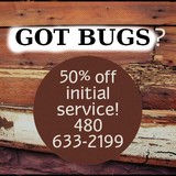 All Statewide - Pest Control in Chandler