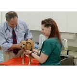 Spanish Trail Pet Clinic - Veterinarians/Vets in Tucson