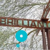 Brilliant Sky Media LLC - Other in Cave Creek