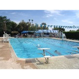 Melrose Paradise Recreation - Amusement Parks in Phoenix