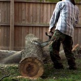 J W Tree Services - Landscape Architects in Sierra Vista