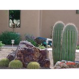 Hot Desert Landscaping LLC - Landscaping in Sahuarita