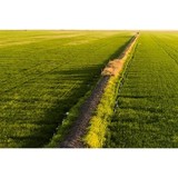RiceBran Technologies - Manufacturer in Paradise Valley