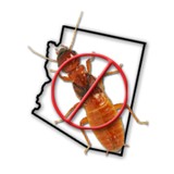 Care-Free Termite Protection - Other in Cave Creek