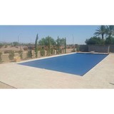 Monster Pool CO - Other in Litchfield Park
