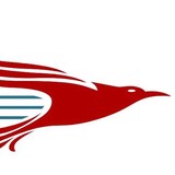 Phoenix Aviation Services - Aircraft Repairs & Aircraft Services in Phoenix