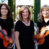 Allegro Quartet - Musicians in Scottsdale