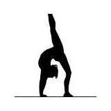 Ms Carol's Gymkids LLC - Gyms in Mesa
