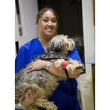Savard Benjamin DVM - Veterinarians/Vets in Phoenix