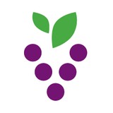 Vineyard Homes LLC - Home Builders & Building Contractors in Buckeye