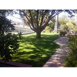 Morningstar Turf - Lawn Services in Mesa
