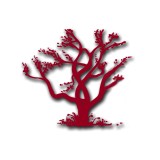 Native Resources International - Landscape Architects in Phoenix