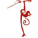 Red Monkey Studio - Yoga in Tucson