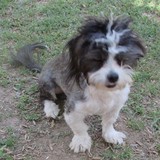 Ruby Ranch Pet Rescue & Sanctuary - Pet Stores in Phoenix