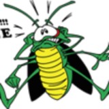 Ozone Pest Control - Pest Control in Queen Creek