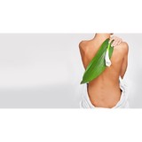 Gorby Andrew M DC - Chiropractors in Glendale