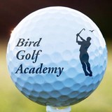 The Bird Golf Academy - Other in Avondale