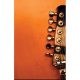 Phoenix Conservatory Of Music - Musical Instruments & Services in Phoenix