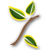 Clean Cut Landscape Management - Lawn Services in Mesa