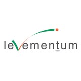 Levementum LLC - Software Development in Chandler