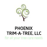 Phoenix Trim A Tree - Tree Services in Phoenix