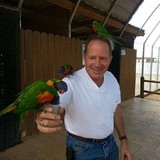 Save On Plumbing - Plumbing in Glendale