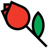 Poppy White - Florists in Phoenix