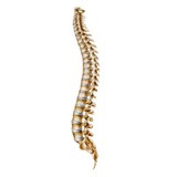 Savage Chiropractic - Chiropractors in Tucson