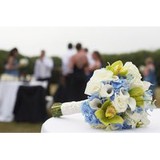 Blanca Floral LLC - Florists in Scottsdale