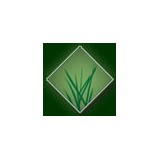 Arizona Luxury Lawns & Greens - Artificial Turf in Scottsdale