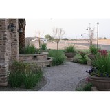 Blooming Vista - Landscaping in Queen Creek
