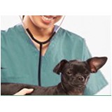 Coronado Veterinary Hospital - Other in Sierra Vista