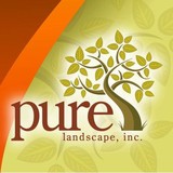 Pure Landscape Inc - Landscaping in Goodyear