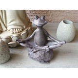 Trans Zen Dental LLC - Dentists in Scottsdale
