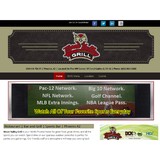 Sadler Web Design - Graphic Design in Glendale