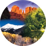 Darnell Laura L - Other in Cottonwood