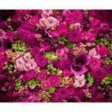 White House Design Studio - Florists in Phoenix