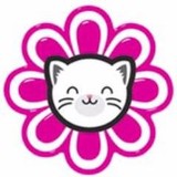 Dnkb Inc - Pet Stores in Phoenix