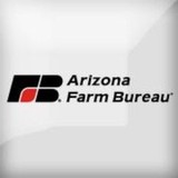 Farm Bureau Insurance - Other in Goodyear