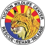 Tucson Wildlife Center Inc - Animal Shelters in Tucson