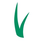 Forever Lawn-Northern AZ Inc - Landscape Architects in Flagstaff