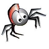 Desert Web Exterminating - Pest Control in Yuma