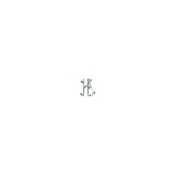 Ivy Street Design - Landscape Architects in Denver